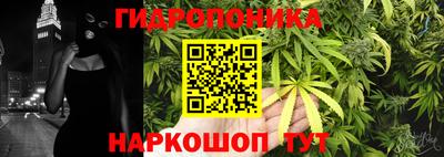 СК Камень-на-Оби