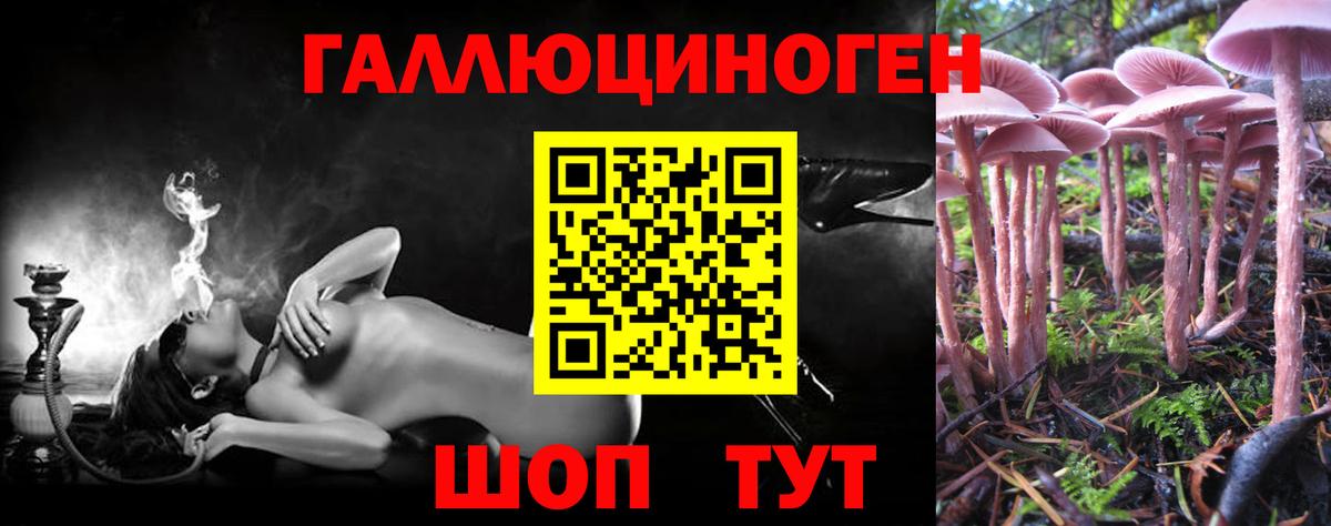 Луга  Псилоцибиновые грибы GOLDEN TEACHER  Вход с VPN 